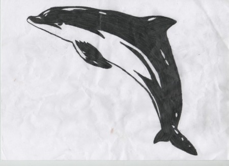 delfin
